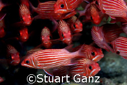 Hanging out 

 by Stuart Ganz 